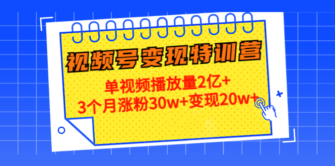 【副业项目4713期】20天视频号变现特训营：单视频播放量2亿+3个月涨粉30w+变现20w+-网创财富岛