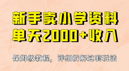 【副业项目7100期】卖小学资料，实现单天2000+，实操项目，保姆级教程+资料+工具-网创财富岛